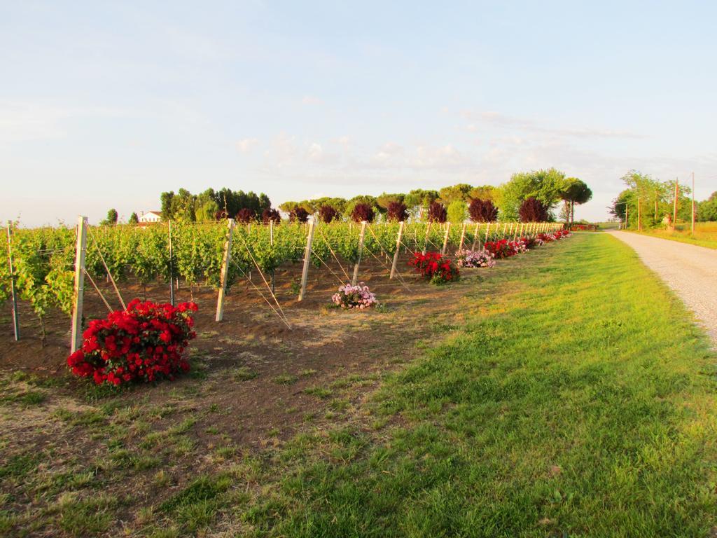 Agriturismo Le Cipressine Meolo Exterior foto